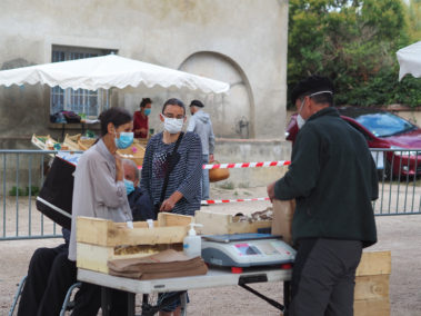 Marché de la Lèze - Saint-Sulpice-sur-Lèze