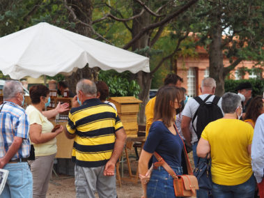 Marché de la Lèze - Saint-Sulpice-sur-Lèze