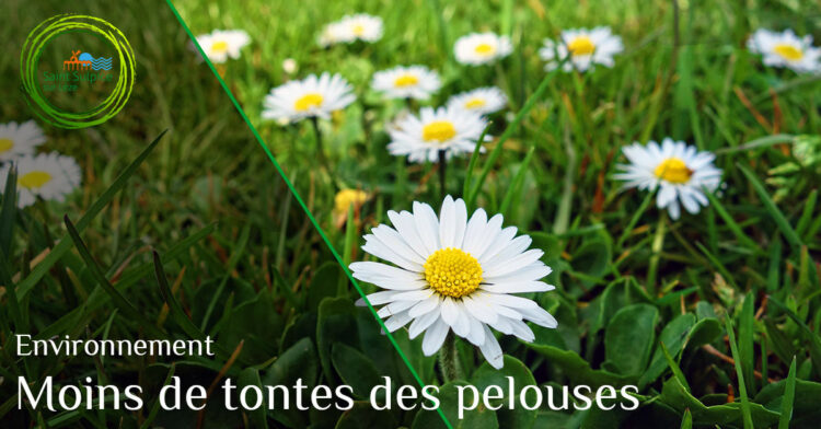 MSL-PASS-Moins-de-tontes-2021-03-29-001