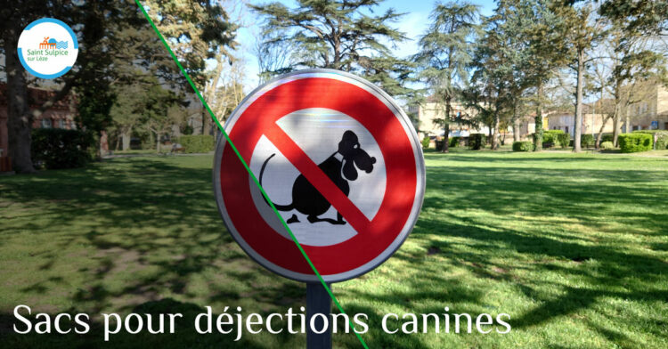 MSL-PASS-Sacs-dejections-canines-2021-03-29-001