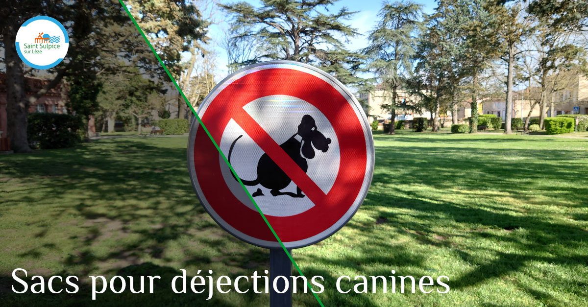 MSL-PASS-Sacs-dejections-canines-2021-03-29-001