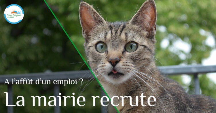 MSL-PASS-Poste-à-pourvoir-2021-09-28