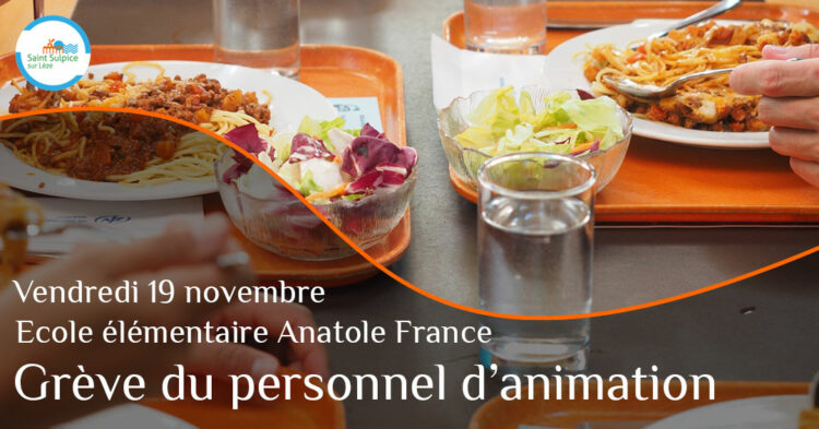 MSL-PASS-PUB-Grève-animation-21-11-19