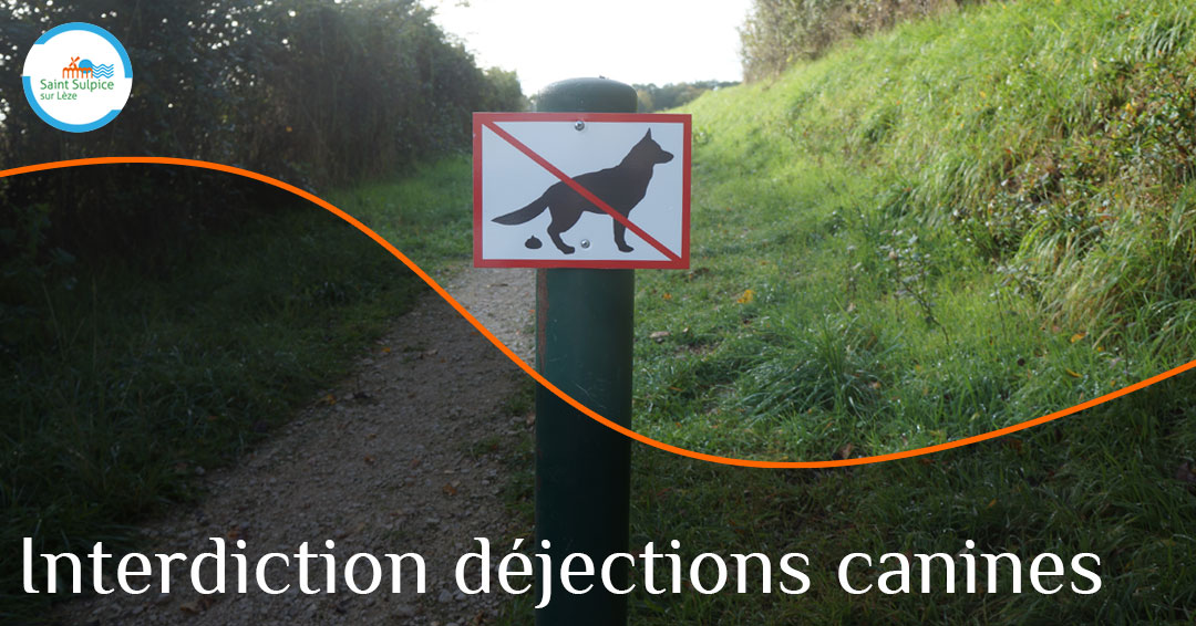 MSL-PASS-PUB-Interdiction-déjections-canines21-11-04 MSL-PASS-PUB-Interdiction-déjections-canines21-11-04