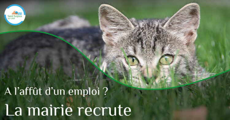 MSL-PASS-PUB-Poste-à-pourvoir-21-11-30