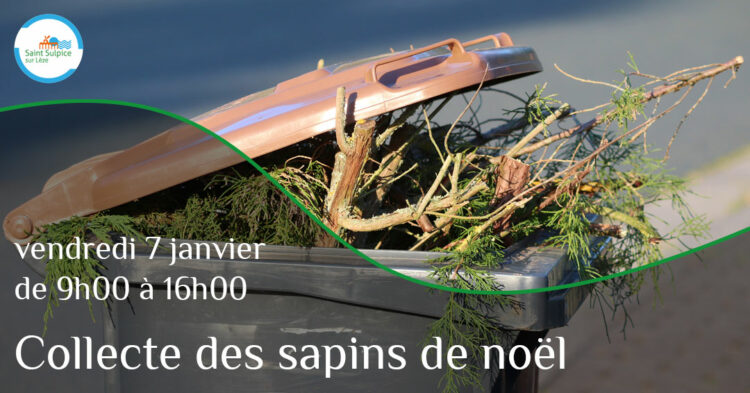 MSL-PASS-Collecte-sapin-21-01-03