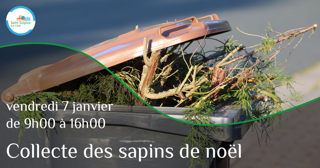 MSL-PASS-Collecte-sapin-21-01-03 MSL-PASS-Collecte-sapin-21-01-03