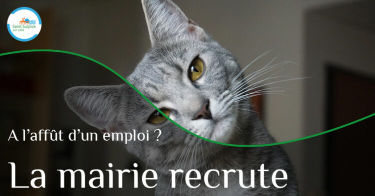 MSL-PASS-Poste-à-pourvoi-21-01-05