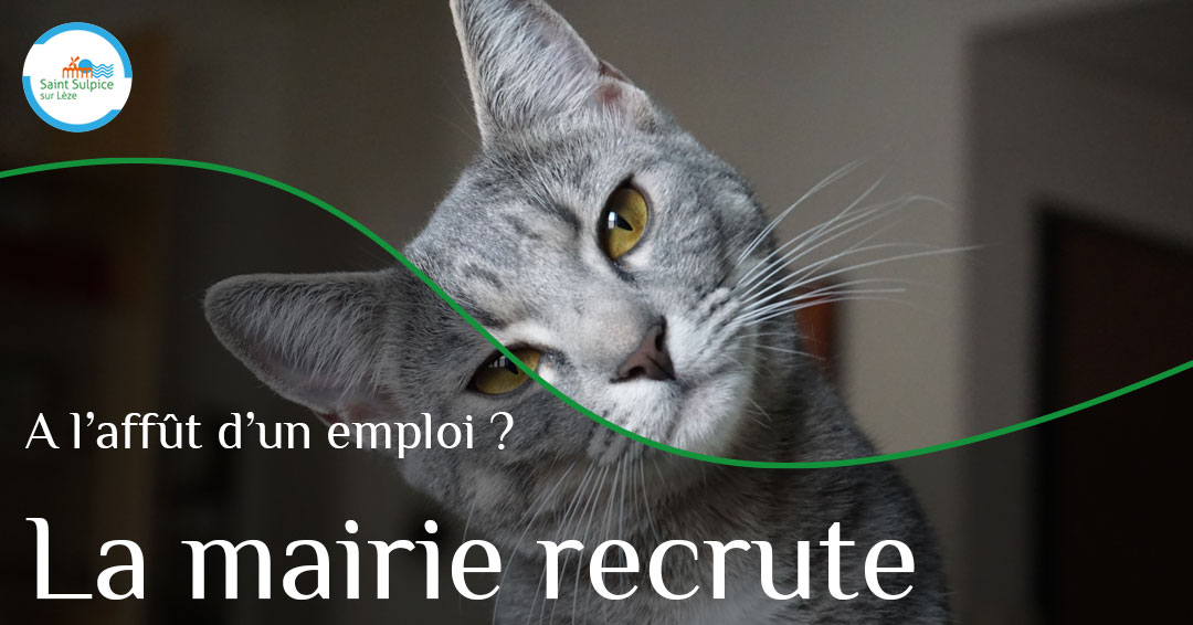 MSL-PASS-Poste-à-pourvoi-21-01-05