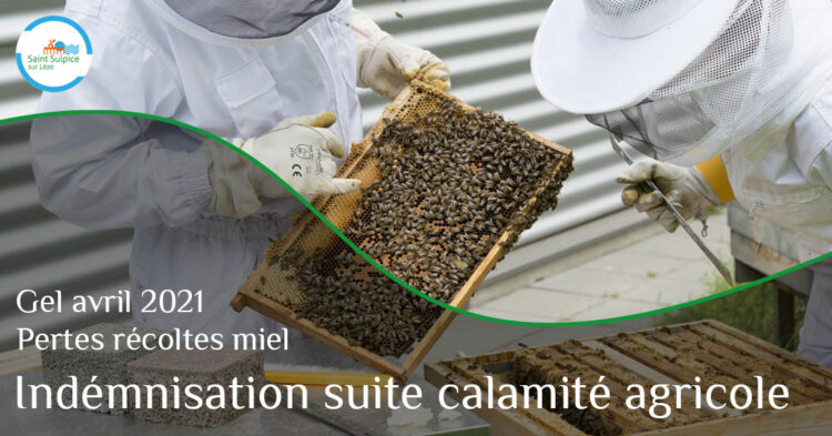 MSL-PASS-Indémnisation-calamité-agricole-22-02-01