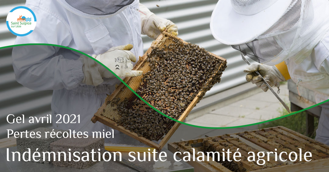 MSL-PASS-Indémnisation-calamité-agricole-22-02-01