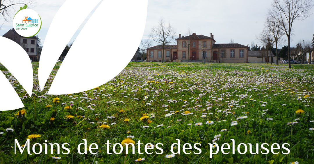 MSL-PASS-Tontes-des-pelouses-2022-03-22