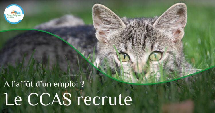 MSL-PASS-CCAS-recrute-2022-06-21