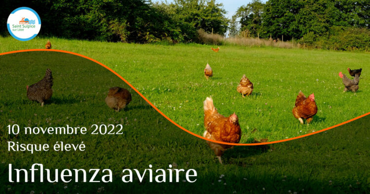 MSL-PASS-Influenza-aviaire-2022-11-10
