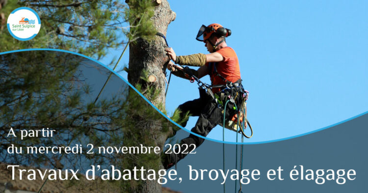 MSL-PASS-Travaux-élagage-2022-11-02