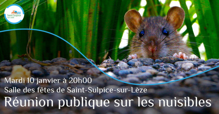 MSL-PASS-Réunion-publique-nuisibles-2023-01-10