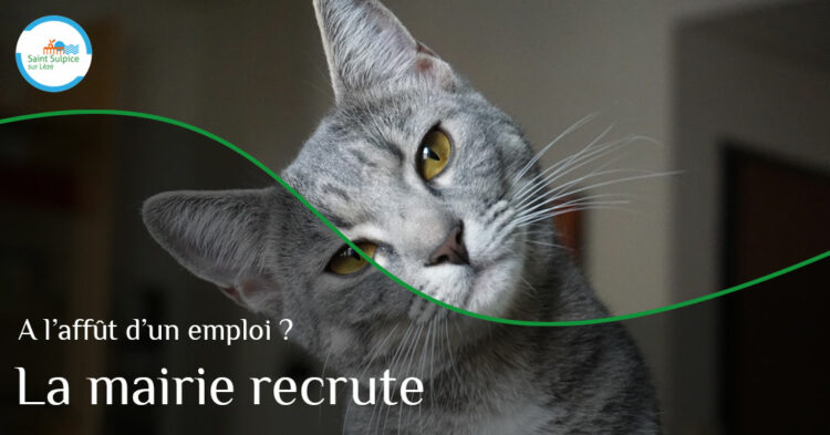 MSL-PASS-Poste-ATSEM-2023-01-10