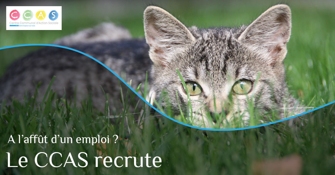 MSL-PASS-Recrutement-CCAS-2023-04-27