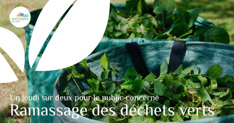 MSL-PASS-Rappel-ramassage-déchets-verts-2023-05-06