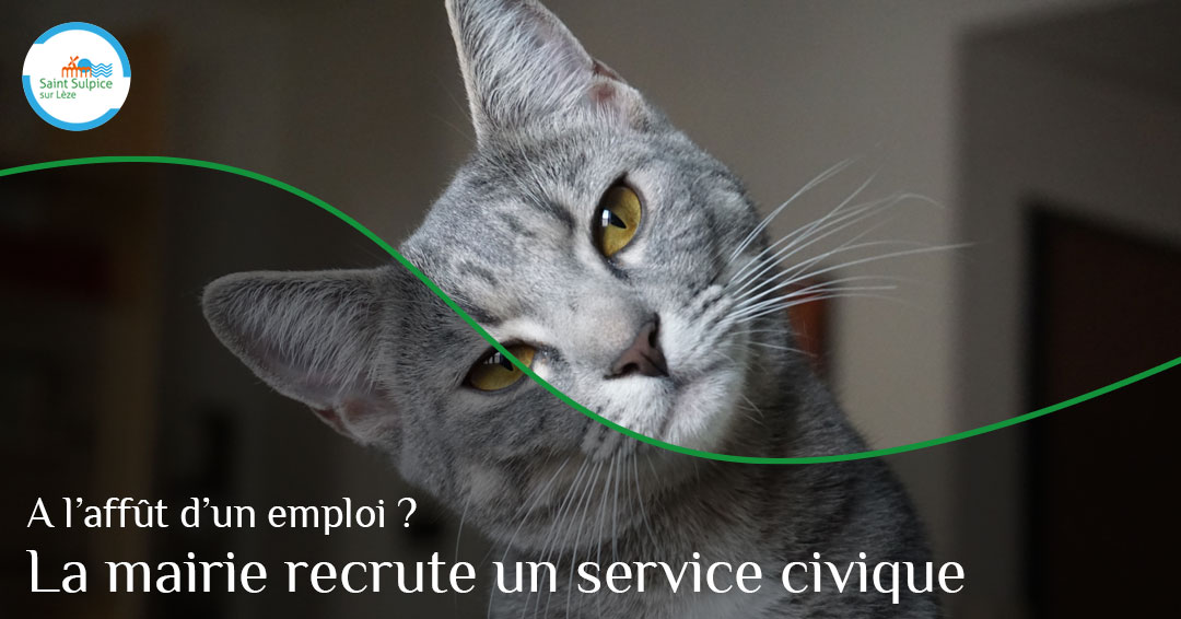 MSL-PASS-Recherche-service-civique-2023-05-31