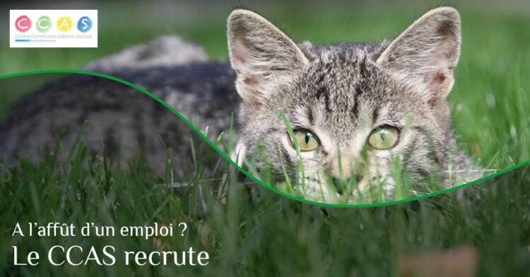 MSL-PASS-CCAS-recrute-2023-06-05