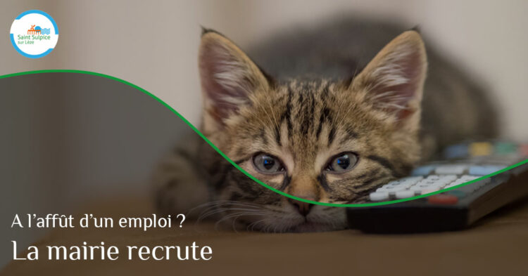 MSL-PASS-recrutement-comptable-2023-06-14