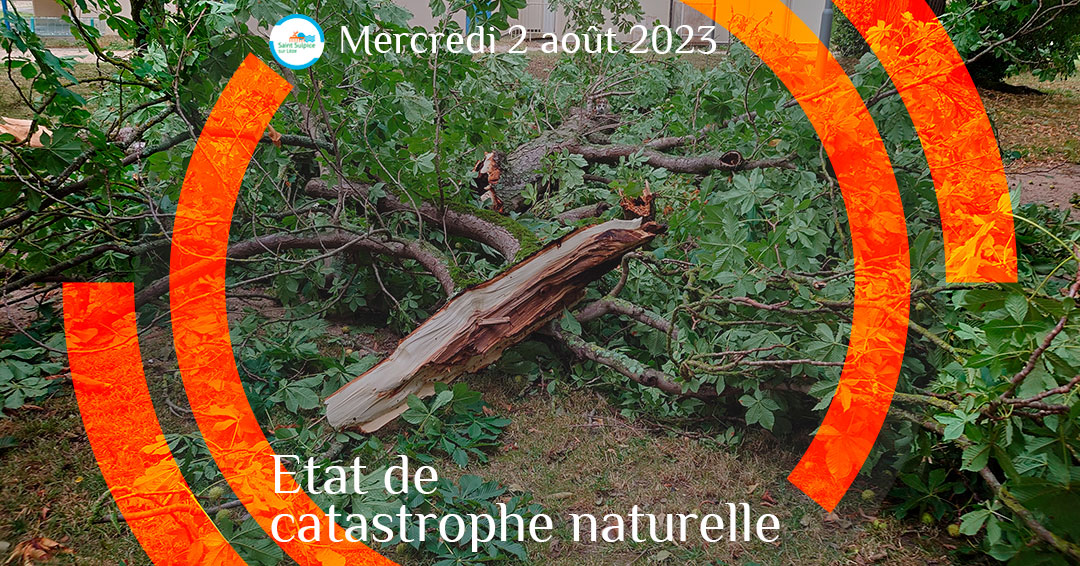 MSL-PASS-PUB-Etat-Catastrophe-Naturelle-2023-08-02 MSL-PASS-PUB-Etat-Catastrophe-Naturelle-2023-08-02