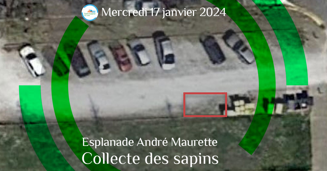 MSL-PASS-2023-01-17-Collecte-sapins
