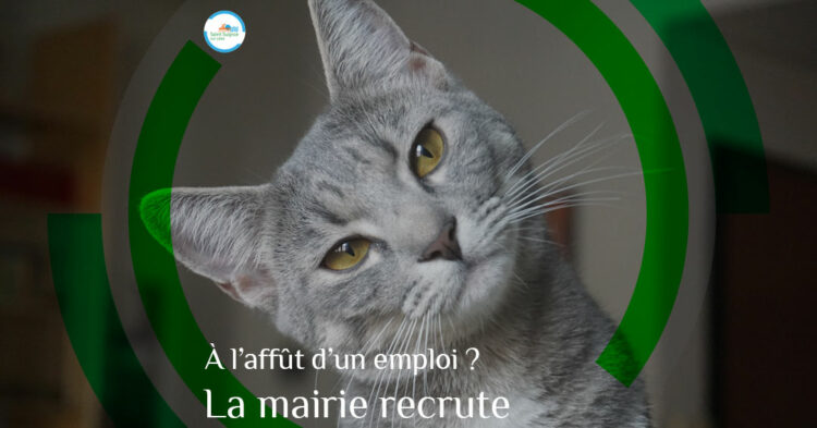 MSL-PASS-2023-01-25-recrutement-astem