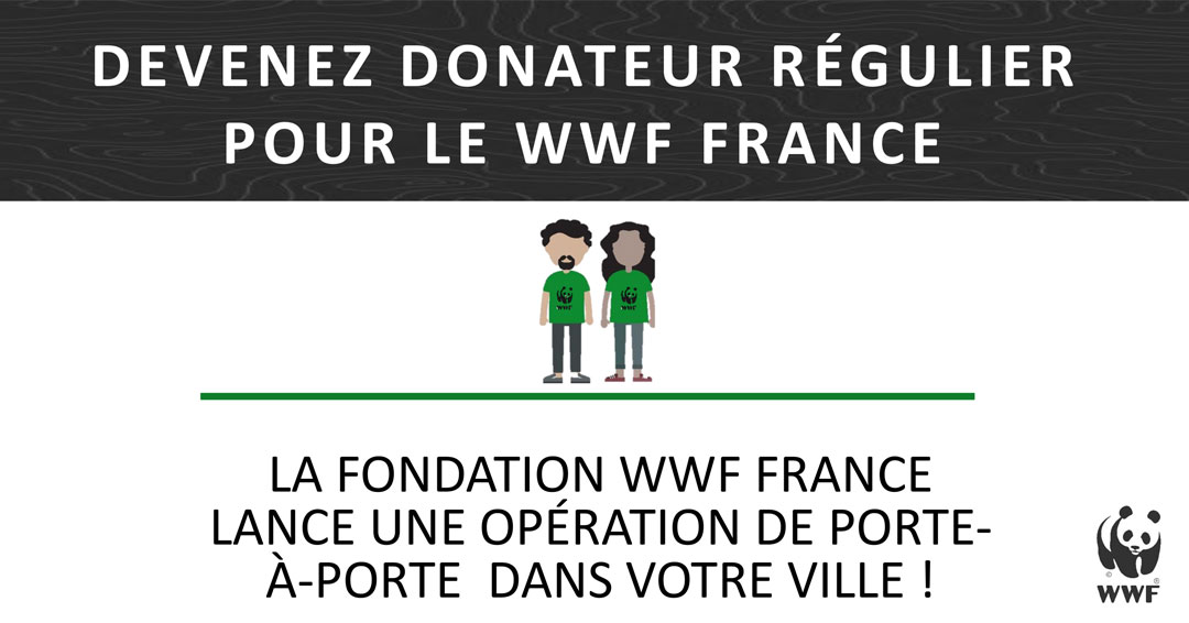 MSL-PASS-2024-11-05-Porte-à-porte-WWF-France