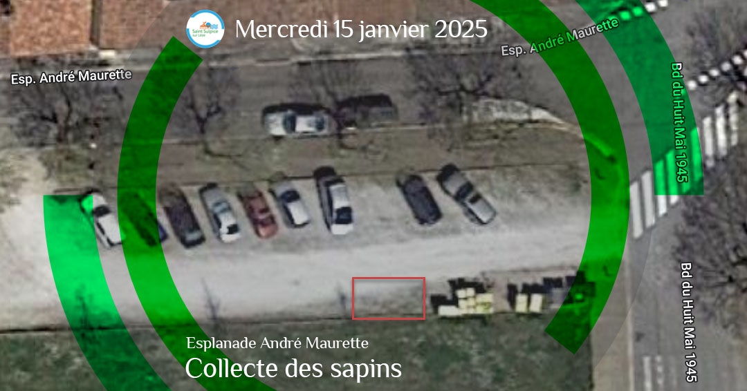 MSL-PASS-2025-01-15-Collecte-sapins