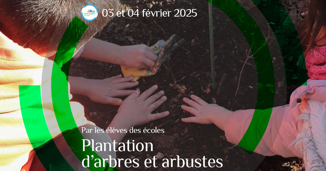 MSL-PASS-2025-02-03-Plantation-arbres