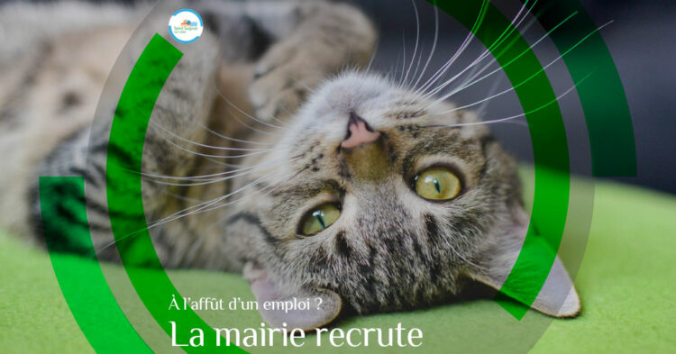 MSL-PASS-2025-02-05-Mairie-recrute-agent-technique