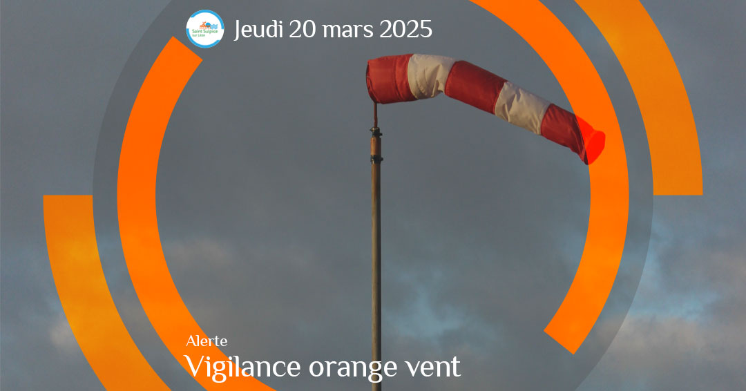 MSL-PASS-2025-03-20-Vigilance-orange-vent