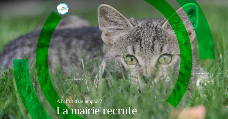 MSL-PASS-2025-03-25-Recrutement-Service-Civique