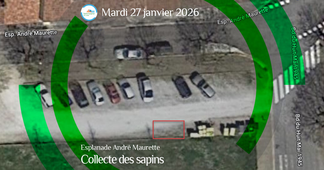 MSL-PASS-2026-01-27-Collecte-des-sapins MSL-PASS-2026-01-27-Collecte-des-sapins