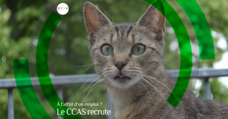 MSL-PASS-2026-03-02--Poste-à-pourvoir-CCAS