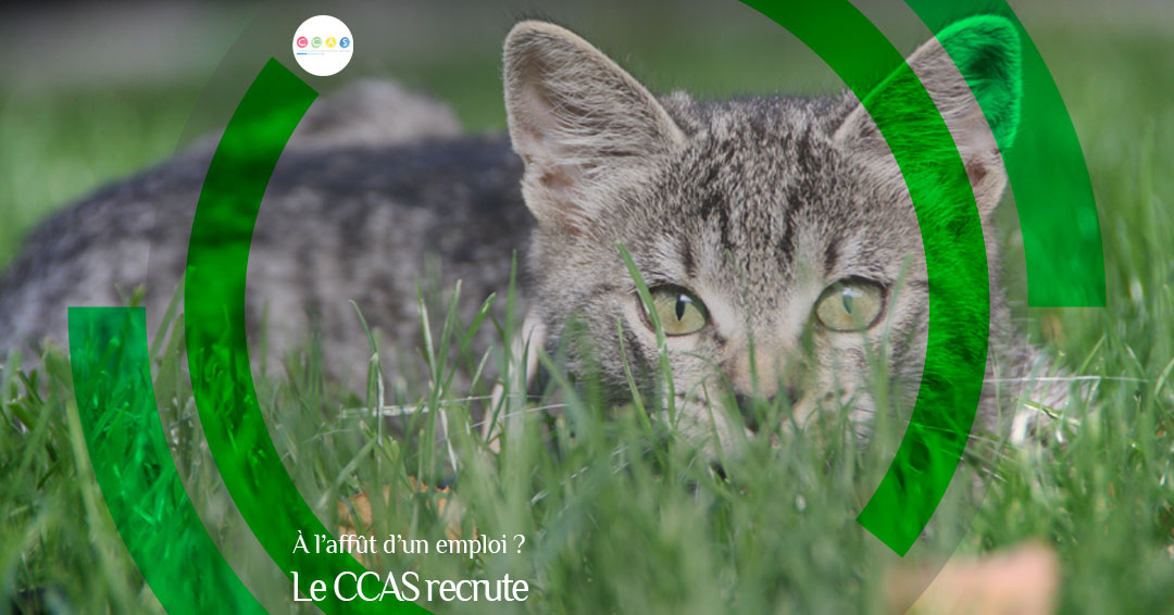 MSL-PASS-2026-04-27-CCAS-recrute