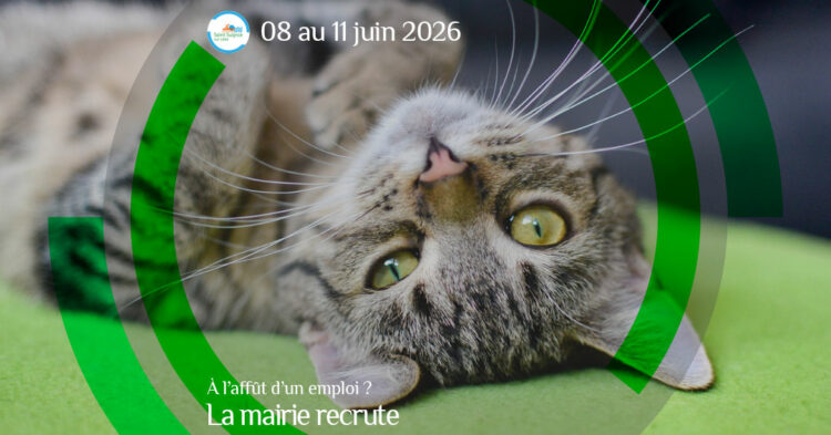 MSL-PASS-2026-06-08-Mairie-recrute
