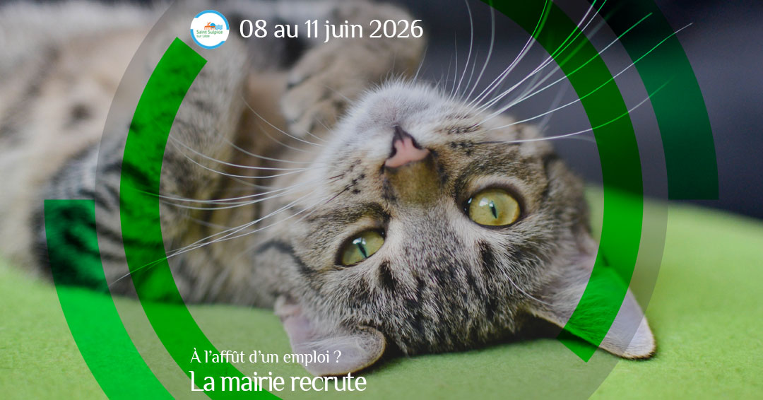 MSL-PASS-2026-06-08-Mairie-recrute
