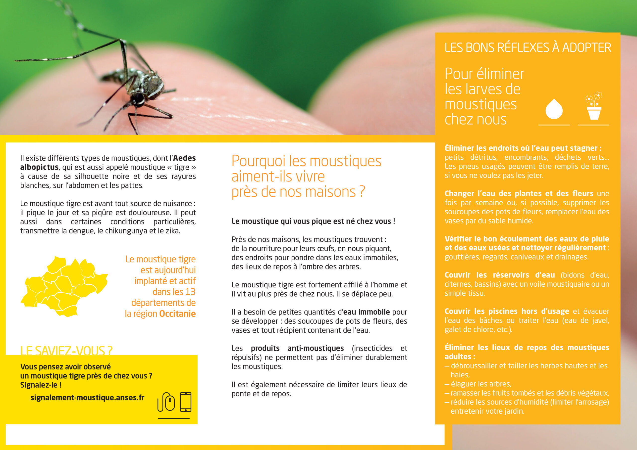 COM---Flyer---Moustiques-tigres-01-2 COM---Flyer---Moustiques-tigres-01-2