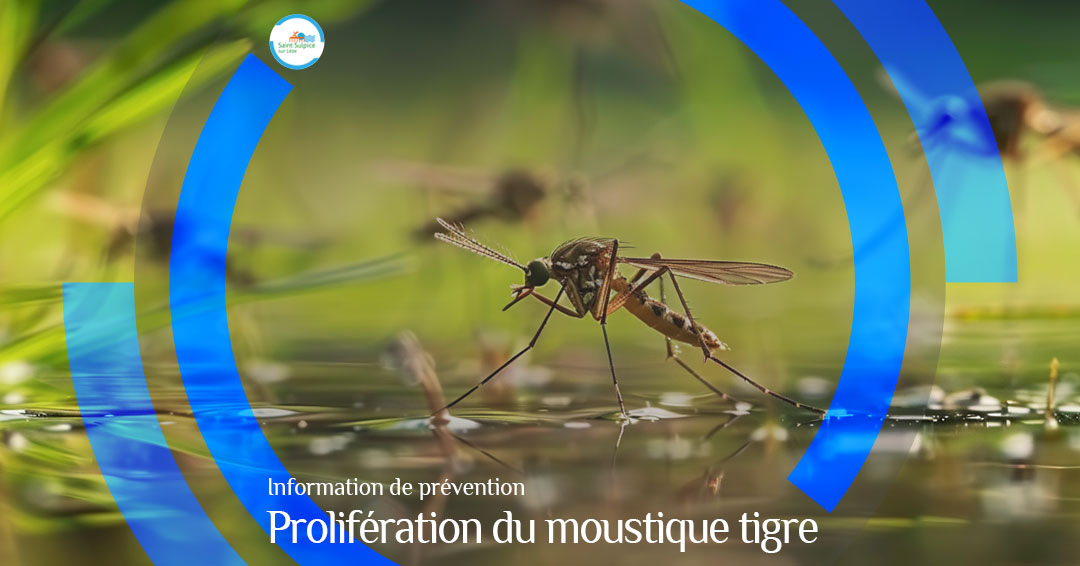 MSL-PASS-2026-09-16-Prolifération-moustique-tigre
